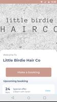 Little Birdie Hair Co poster