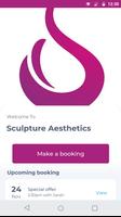 Sculpture Aesthetics poster