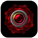 APK Photo Lite: Collage Maker, Edit Pics, Photo Filter