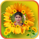 Sunflower Photo frames APK