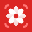 Photo Editor 2024
