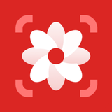 Photo Editor 2024 图标