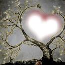 Photo frame decoration APK