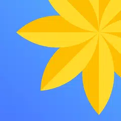 Gallery - Photo & Video