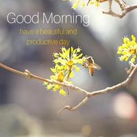 Good Morning Images Gif syot layar 2