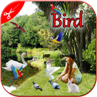 Bird Photo Frame আইকন