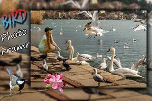 Bird Photo Frame 截图 1