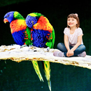 Birds Photo Frame APK