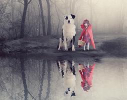 Photo Background Eraser скриншот 3
