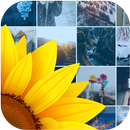 Gallery APK