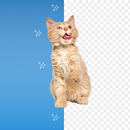 Remove background from image APK