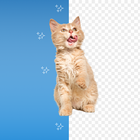 Remove background from image icon