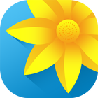Gallery иконка