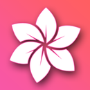 Gallery 2023 APK