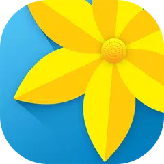 Gallery APK download