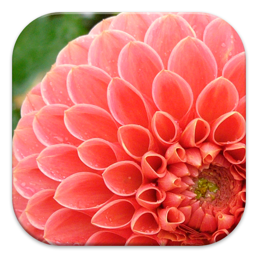 Photography Tutorials