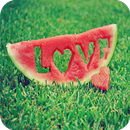 Photography Wallpaper Full HD APK