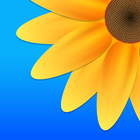 Gallery icon
