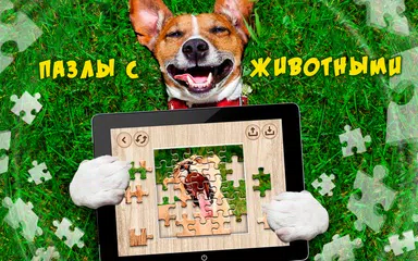 Скачать Пазлы для взрослых офлайн APK