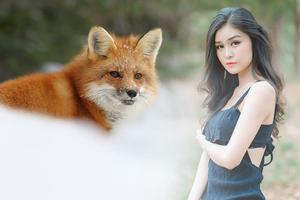 Wildlife Photo Frame imagem de tela 3