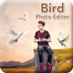 Bird Photo Editor