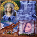 Picture Frame