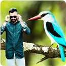 bird photo editor - birds photo maker with effects APK