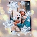 Зима Фоторамки APK