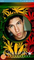 Marcos de Marihuana fondos de pantalla marihuanas скриншот 2