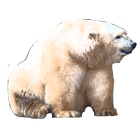 Bear Game icône