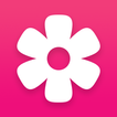 Gallery icon