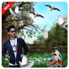Bird Photo Editor 图标