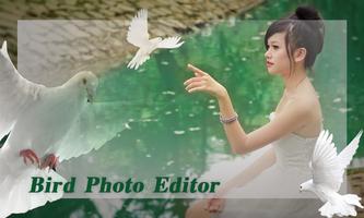 Bird Photo Editor 海报