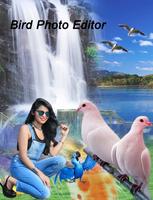 Bird Photo Editor 截图 1