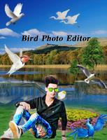 Bird Photo Editor 截图 2