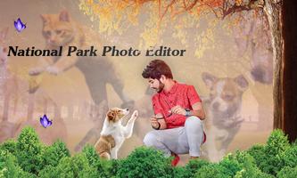 National Park Photo Editor Poster