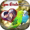 Love Birds Insta Dp Photo Frames