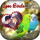 Love Birds Insta Dp Photo Frames APK