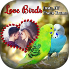 Love Birds Insta Dp Photo Frames icône