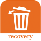 File recovery icon