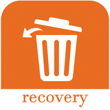 File recovery icon