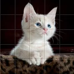 Picture Puzzle Free Game For A