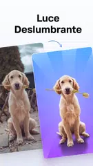 Descargar XAPK de PhotoRoom Studio Photo Editor