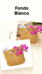 Descargar XAPK de PhotoRoom Studio Photo Editor