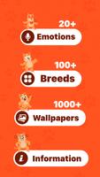 Human to cat translator app imagem de tela 1