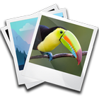 Photo Widget icône