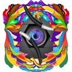 Selfie Art: Cartoon & Photo Editor