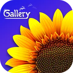 Descargar APK de Gallery