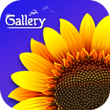 Gallery আইকন