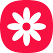 Gallery - Photo gallery icon